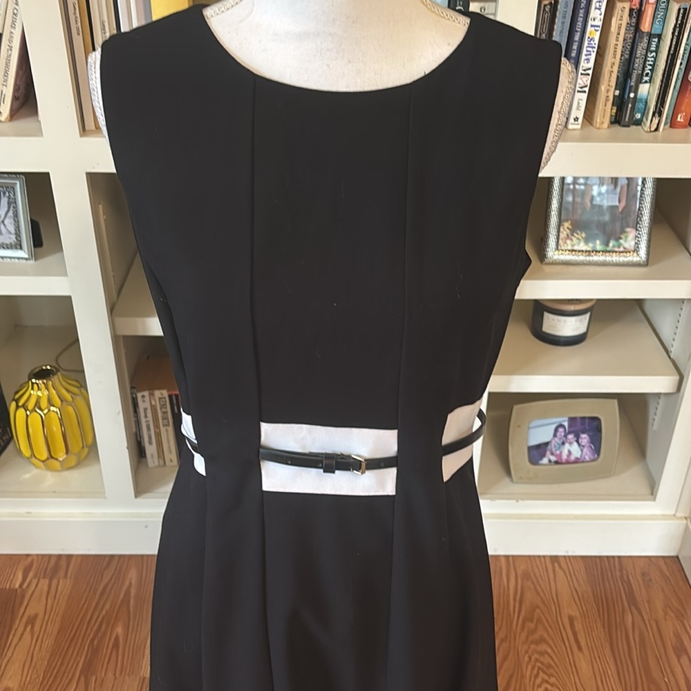 NWT Calvin Klein Black White Tan Stripe
Fit & Flare Sleeveless Dress Size 10 - Picture 2 of 12